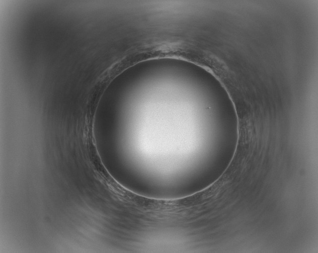 X0000070881158200606161155