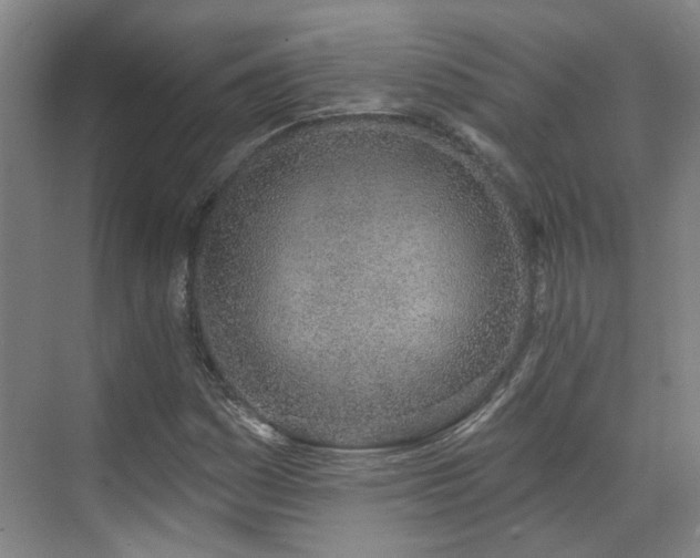 X0000070881161200606161155