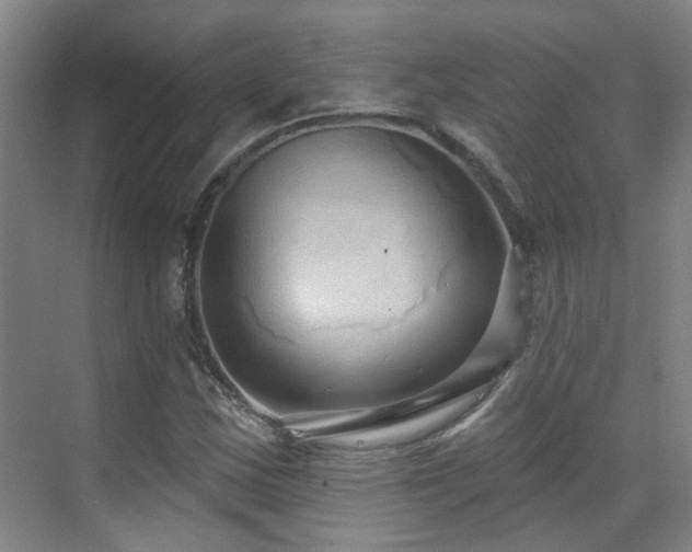 X0000070881163200606161155