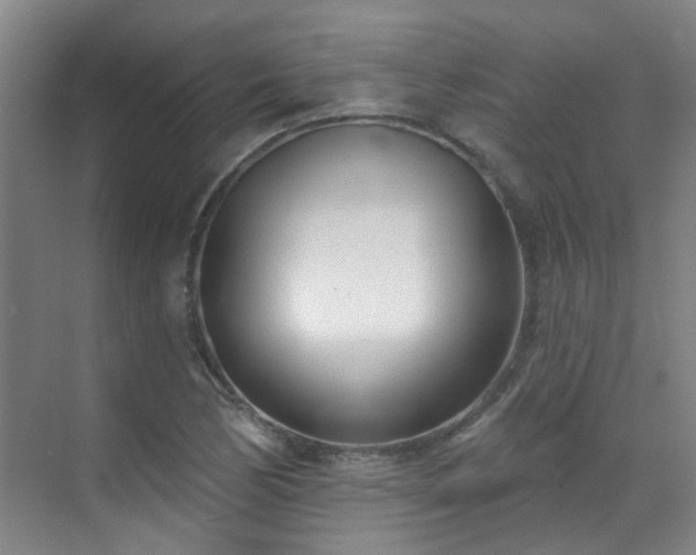 X0000070881170200606161155