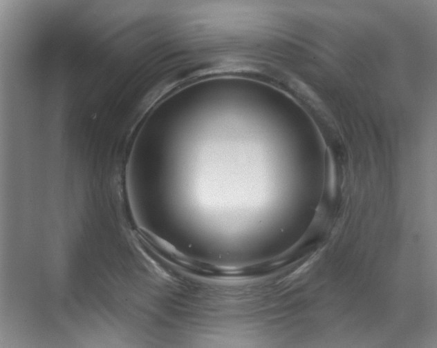 X0000070881177200606161155