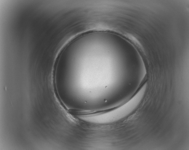 X0000070881183200606161155