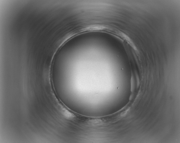 X0000070881186200606161155