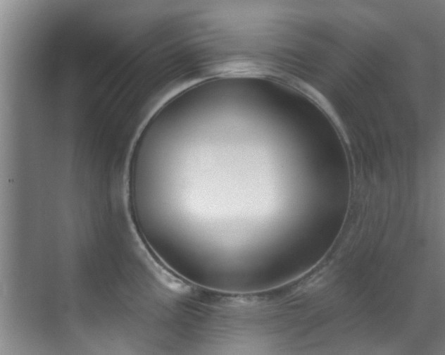 X0000070881195200606161154