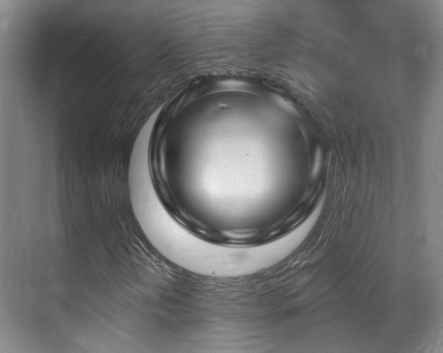 X0000070881202200606161153