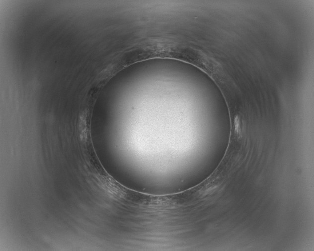 X0000070881203200606161153