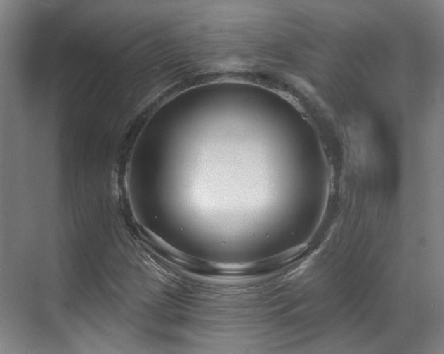 X0000070881209200606161154