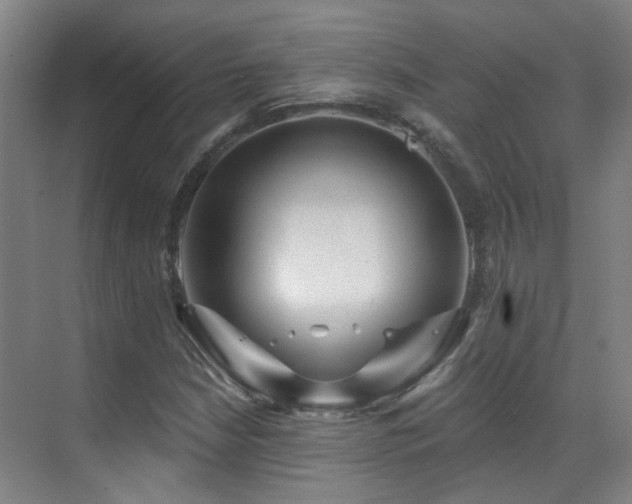 X0000070881210200606161154