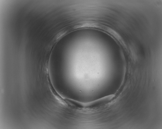 X0000070881241200606161154