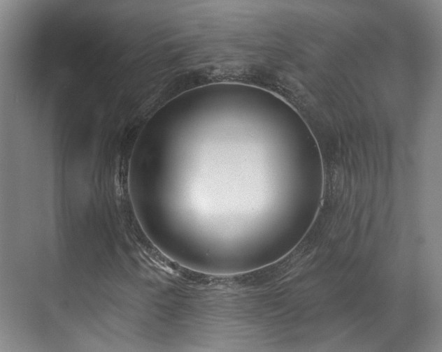 X0000070881250200606161153