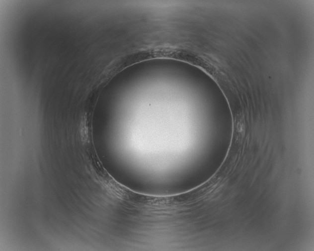 X0000070881252200606161153