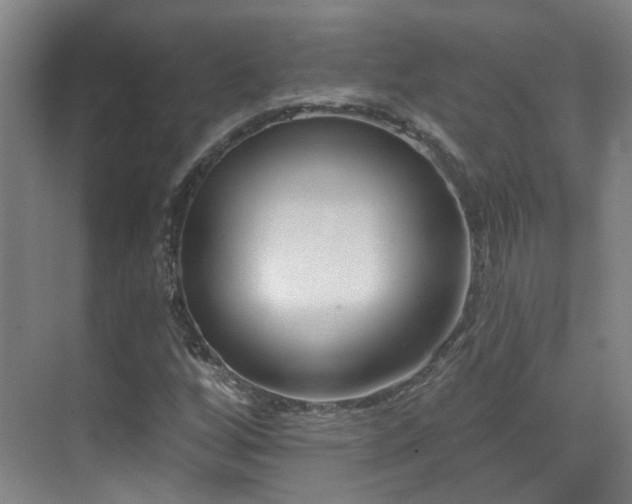 X0000070881256200606161153