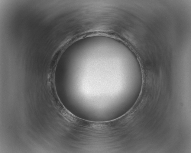 X0000070881258200606161153