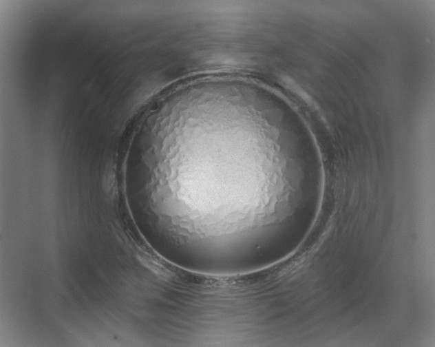 X0000070881259200606161153
