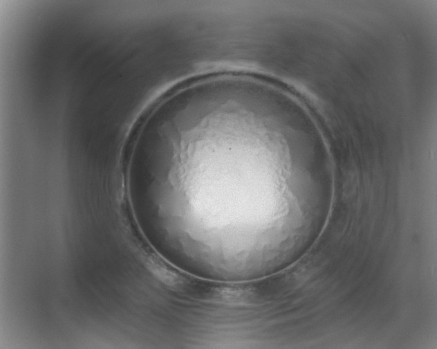 X0000070881271200606161153