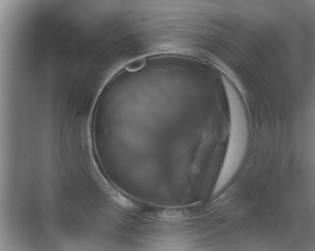 X0000070881291200606161153