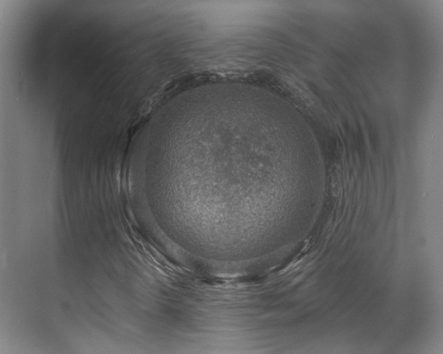 X0000070881298200606161152