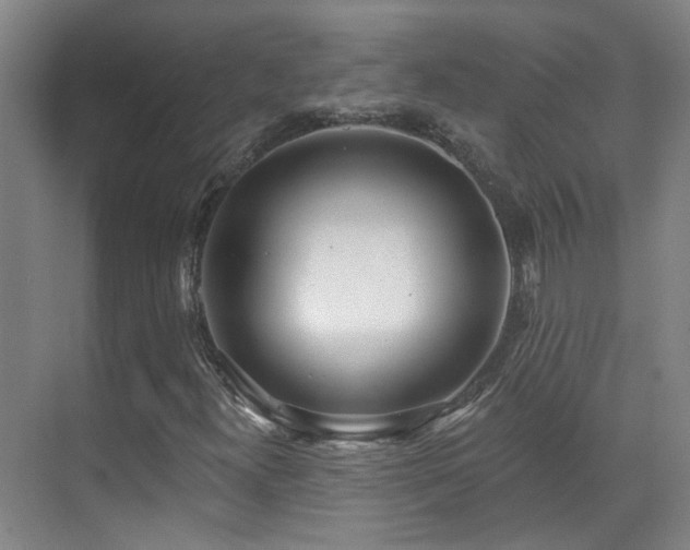 X0000070881300200606161152