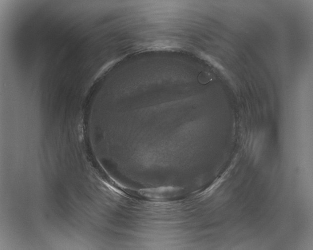 X0000070881306200606161152