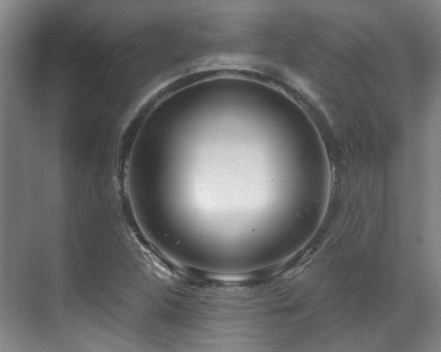 X0000070881312200606161152