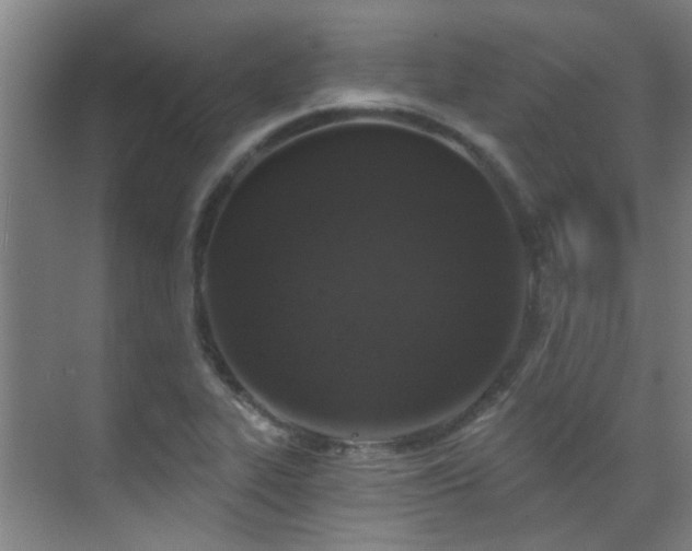 X0000070881319200606161152