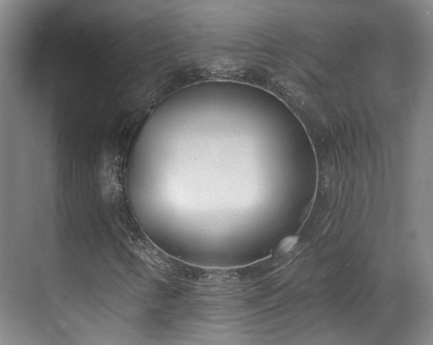 X0000070881346200606161152
