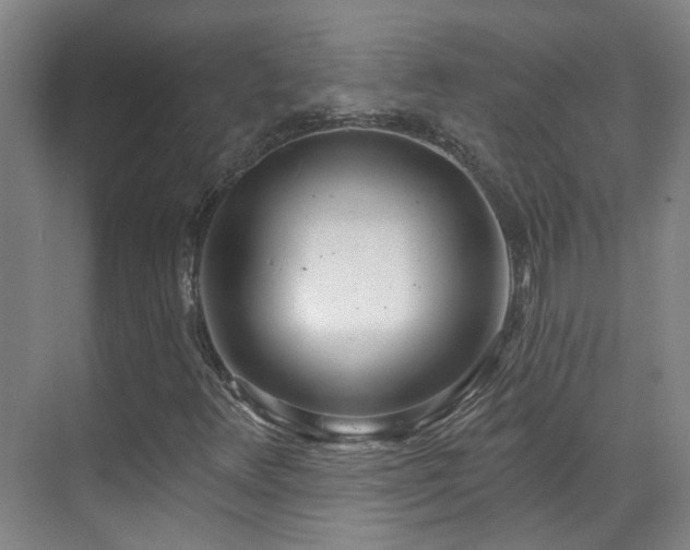 X0000070881348200606161152