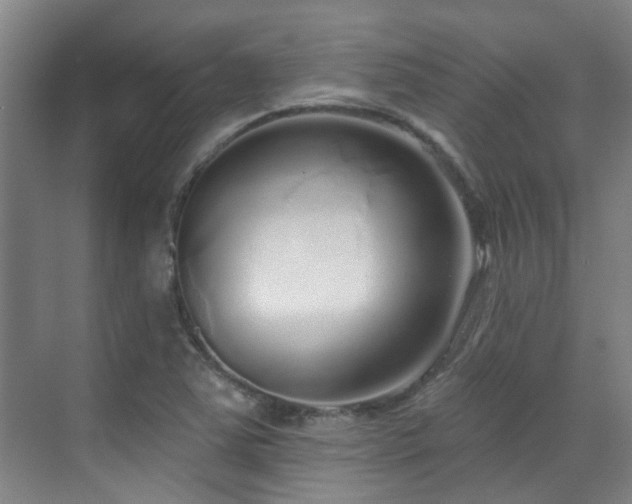 X0000070881363200606161152