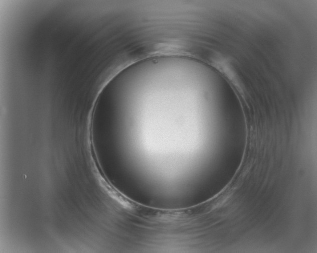 X0000070881386200606161151