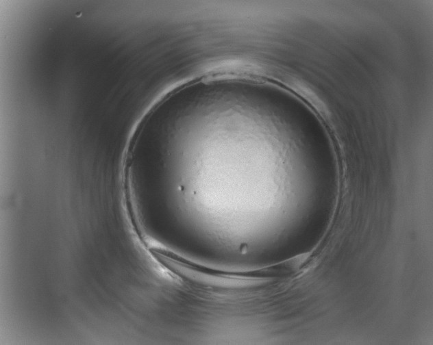 X0000070881392200606161151