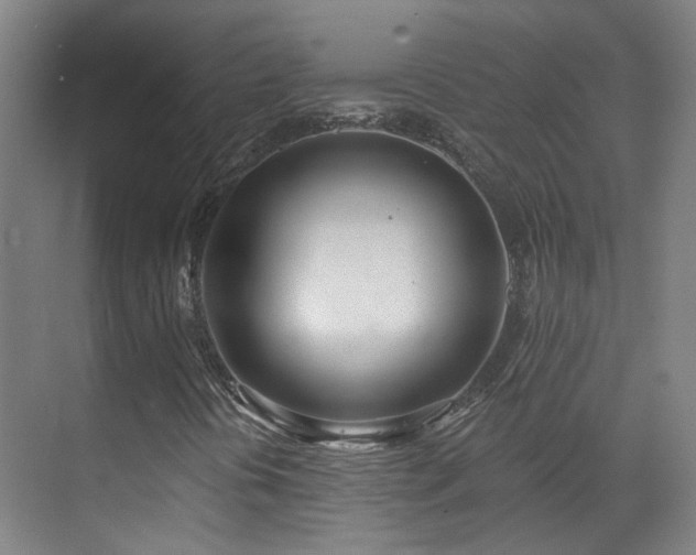 X0000070881394200606161150