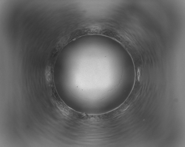 X0000070881395200606161150