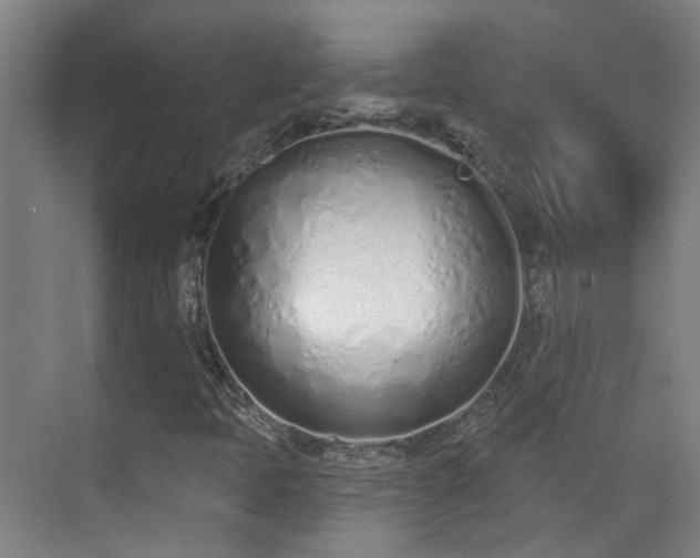 X0000070881397200606161150