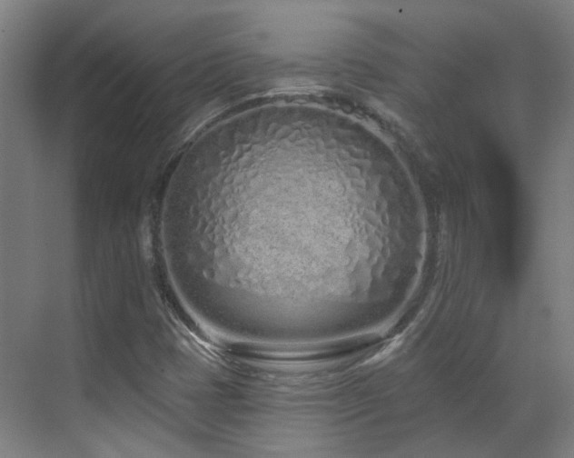 X0000070881401200606161150