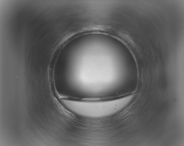 X0000070881404200606161150