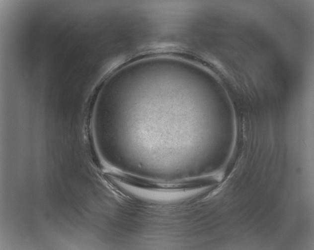 X0000070881405200606161150