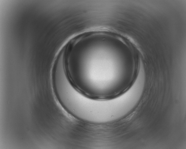 X0000070881422200606161151