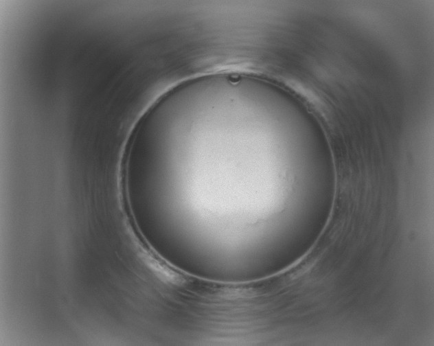 X0000070881423200606161151