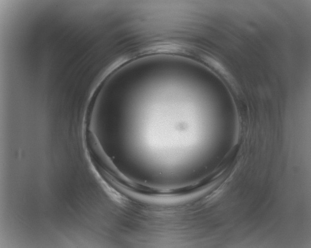 X0000070881426200606161151