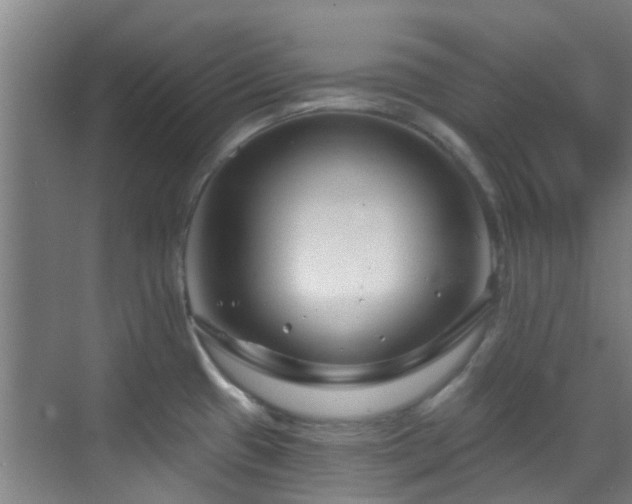 X0000070881433200606161151
