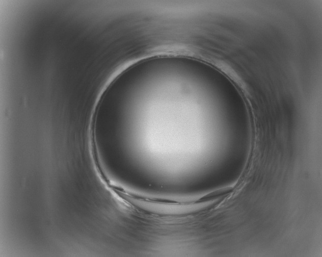 X0000070881440200606161151
