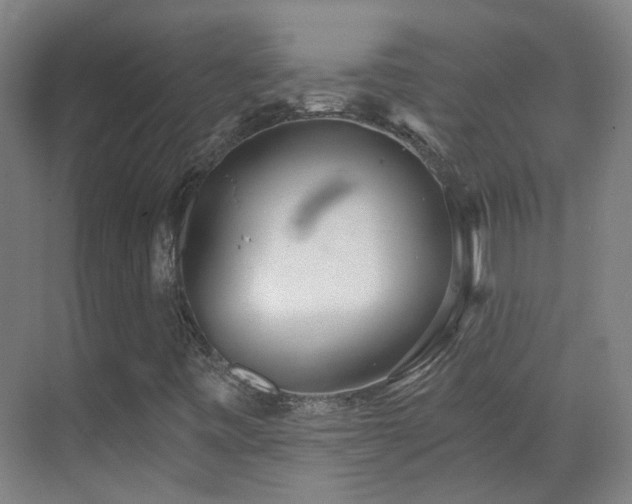 X0000070881443200606161150