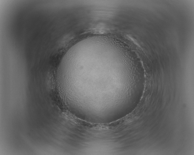 X0000070881446200606161150