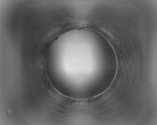X0000070881447200606161150