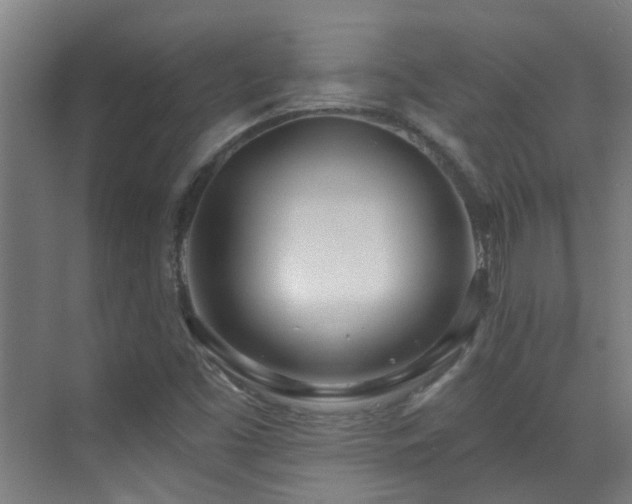X0000070881453200606161150