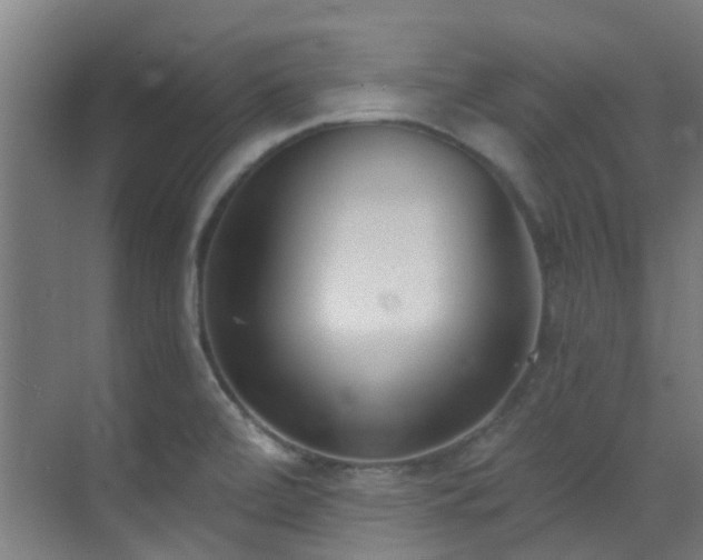 X0000070881472200606161150