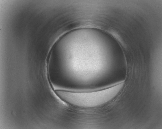 X0000070881476200606161150