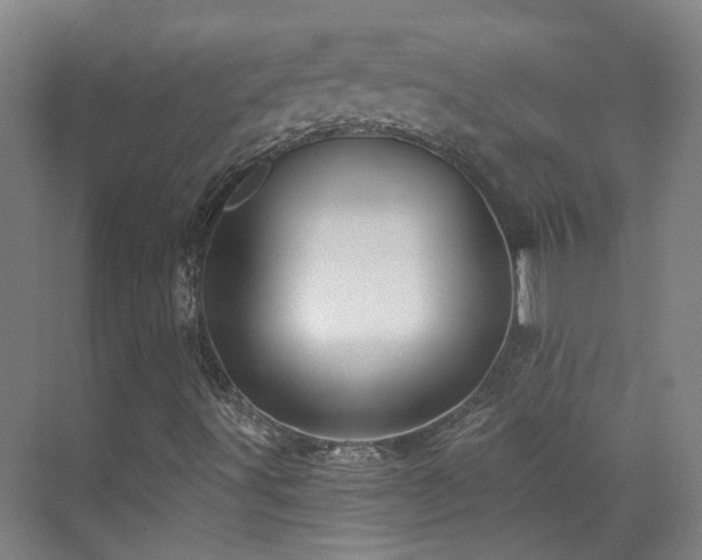 X0000070881491200606161149
