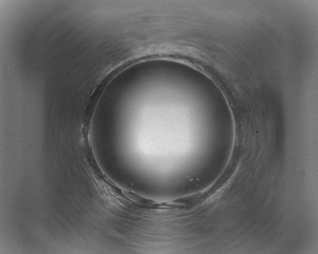 X0000070881497200606161149