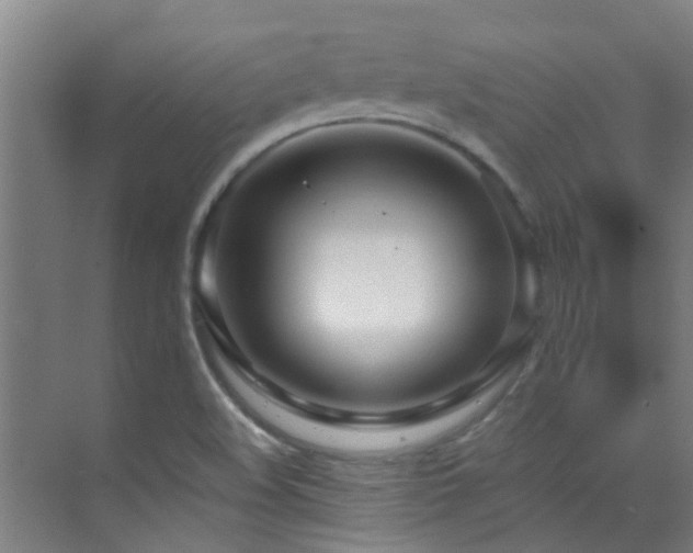 X0000070881508200606161149